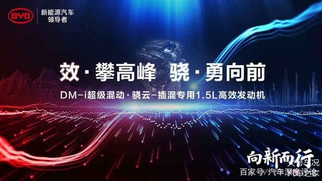 联盟新政策实施，球队备战就获重大动力