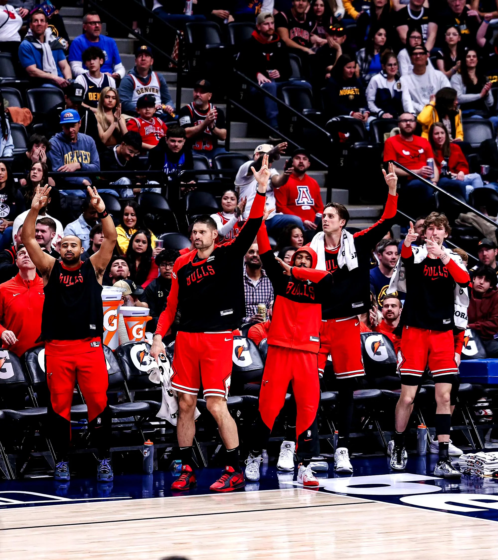 关于公牛再胜骑士,重蹈胜利之路的信息 关于公牛再胜骑士,重蹈胜利之路的信息